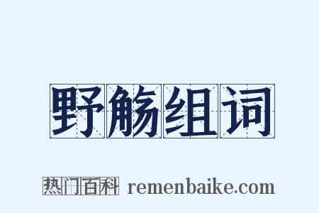 野觞组词是什么意思的图片